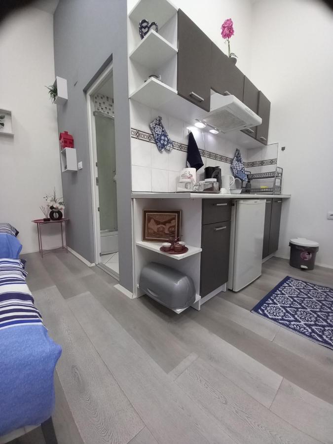 Apartman Stari Most - Old Bridge Óbecse Kültér fotó