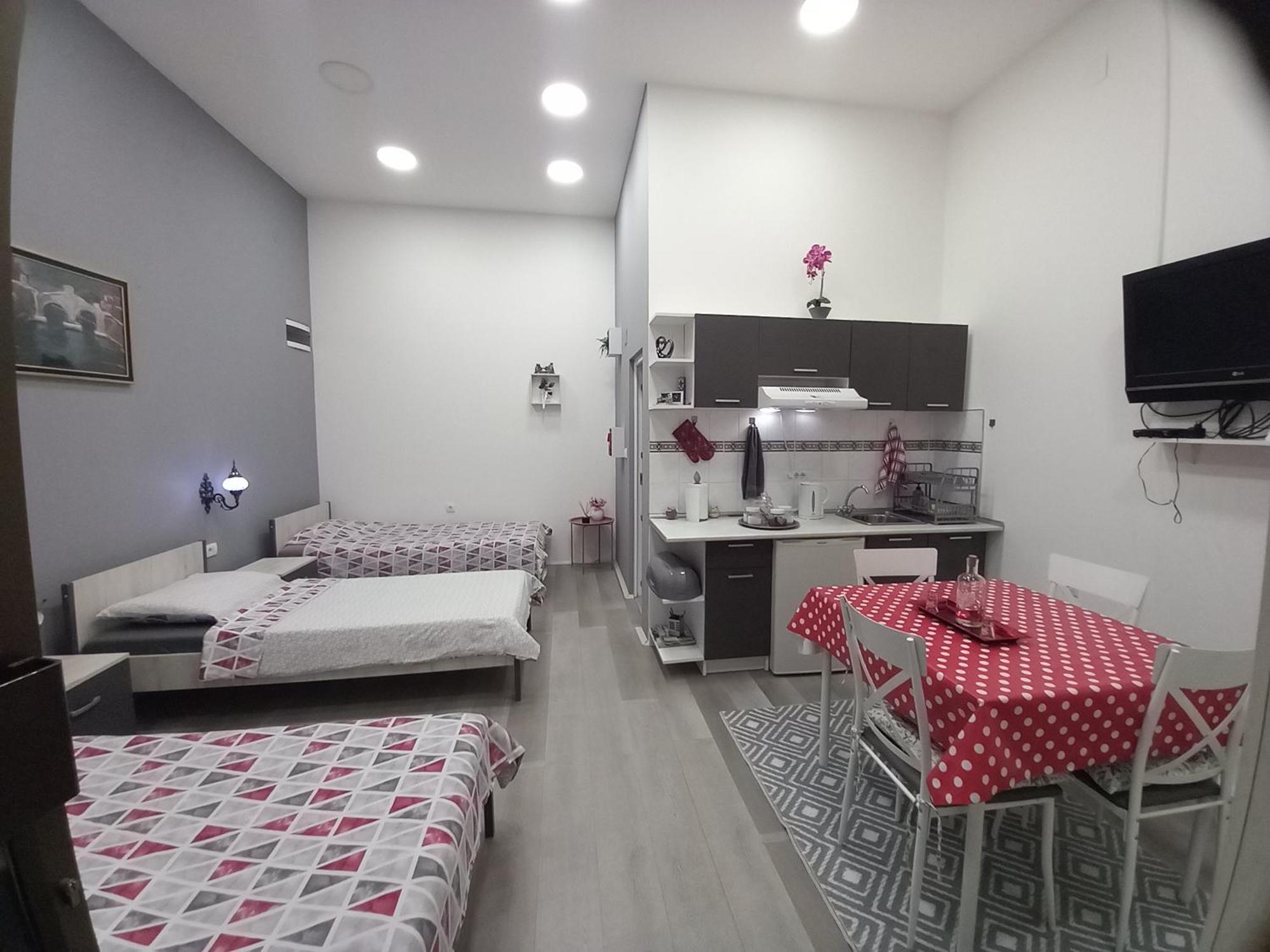 Apartman Stari Most - Old Bridge Óbecse Szoba fotó