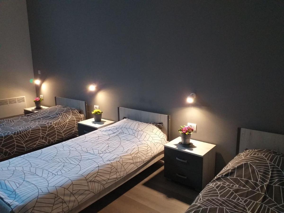 Apartman Stari Most - Old Bridge Óbecse Kültér fotó